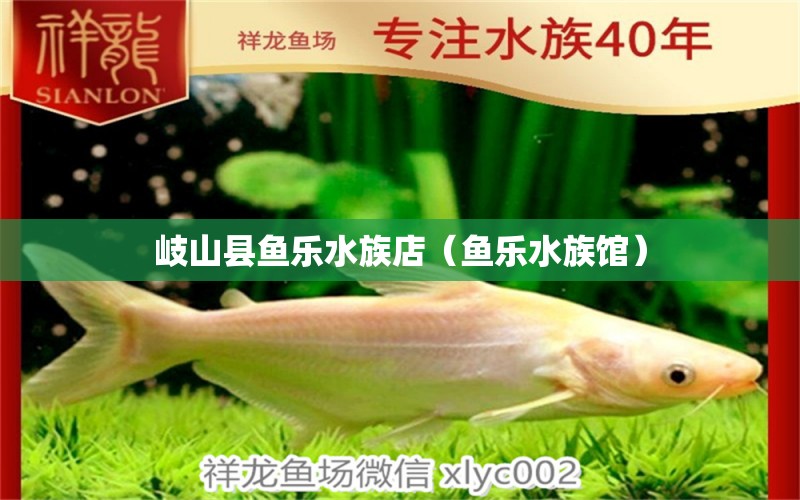 岐山县鱼乐水族店（鱼乐水族馆）