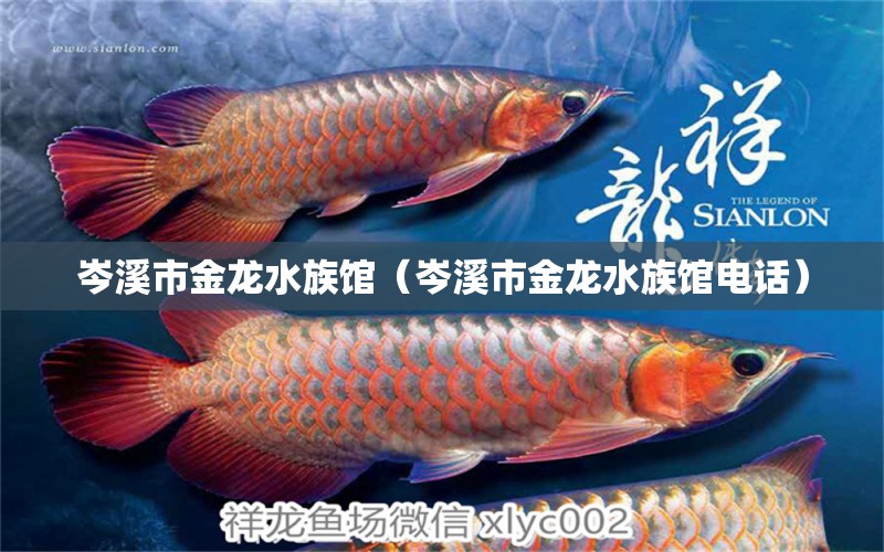 岑溪市金龙水族馆（岑溪市金龙水族馆电话）