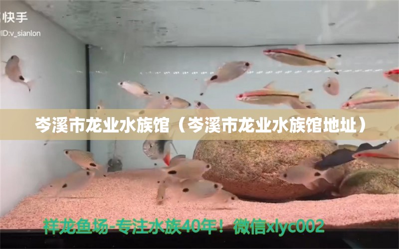 岑溪市龙业水族馆（岑溪市龙业水族馆地址） 全国水族馆企业名录