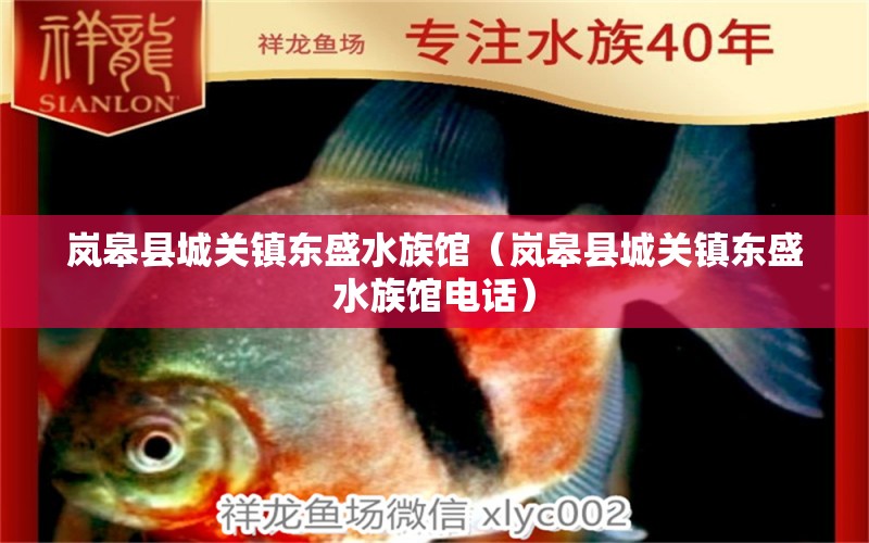 岚皋县城关镇东盛水族馆（岚皋县城关镇东盛水族馆电话） 全国水族馆企业名录