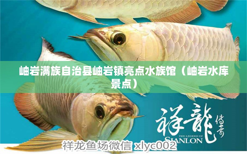 岫岩满族自治县岫岩镇亮点水族馆（岫岩水库景点） 全国水族馆企业名录