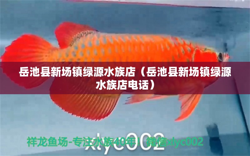 岳池县新场镇绿源水族店（岳池县新场镇绿源水族店电话）