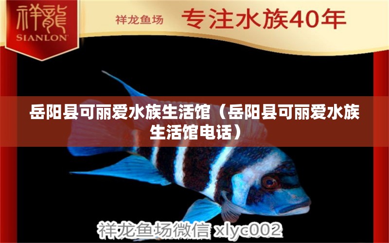 岳阳县可丽爱水族生活馆（岳阳县可丽爱水族生活馆电话）