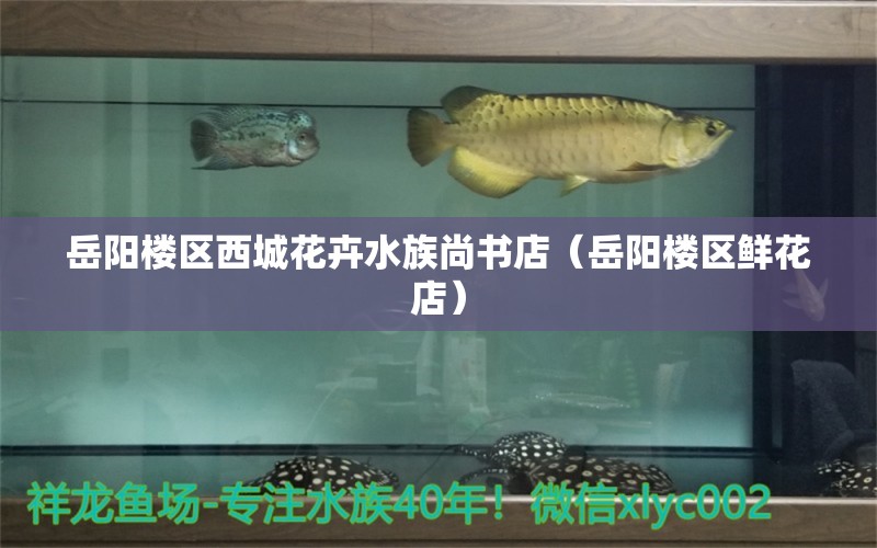 岳阳楼区西城花卉水族尚书店（岳阳楼区鲜花店） 全国水族馆企业名录