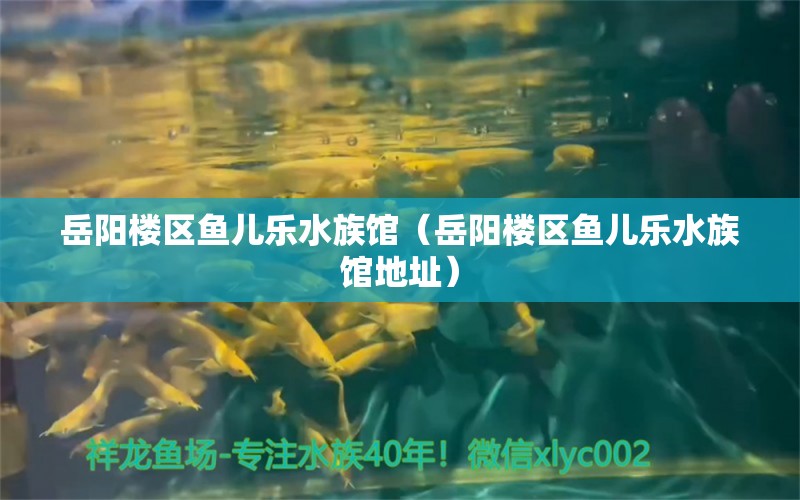 岳阳楼区鱼儿乐水族馆（岳阳楼区鱼儿乐水族馆地址） 全国水族馆企业名录