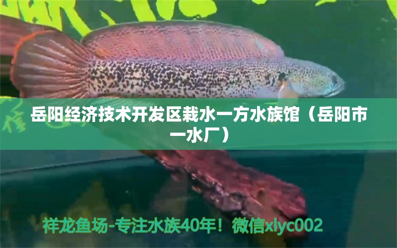 岳阳经济技术开发区栽水一方水族馆（岳阳市一水厂） 一方水族