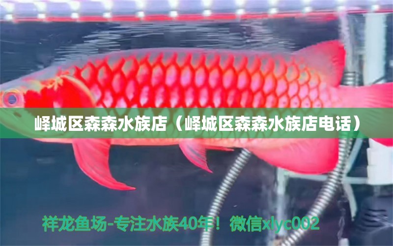 峄城区森森水族店（峄城区森森水族店电话） 全国水族馆企业名录