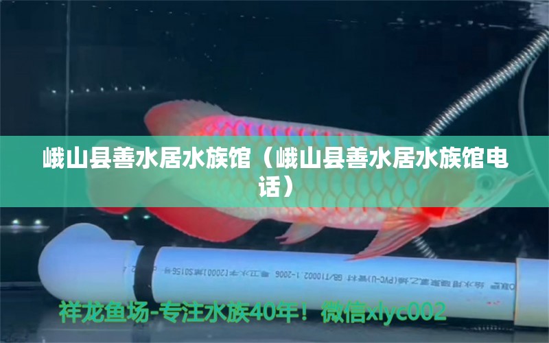 峨山县善水居水族馆（峨山县善水居水族馆电话） 全国水族馆企业名录