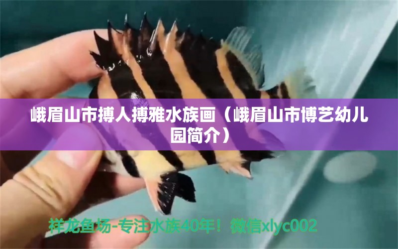 峨眉山市搏人搏雅水族画（峨眉山市博艺幼儿园简介） 全国水族馆企业名录