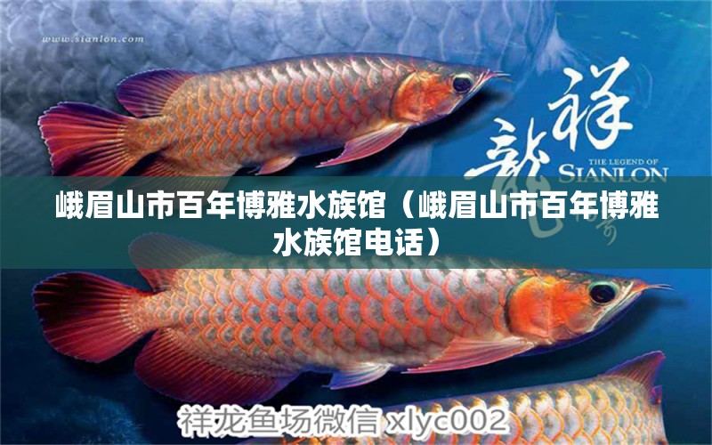 峨眉山市百年博雅水族馆（峨眉山市百年博雅水族馆电话） 全国水族馆企业名录