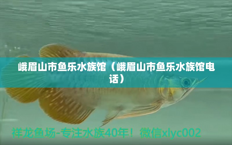 峨眉山市鱼乐水族馆（峨眉山市鱼乐水族馆电话）