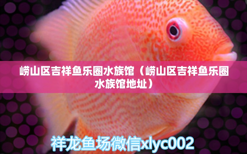 崂山区吉祥鱼乐圈水族馆（崂山区吉祥鱼乐圈水族馆地址）