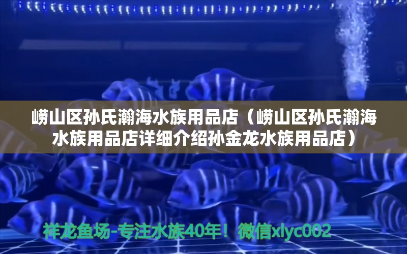 崂山区孙氏瀚海水族用品店（崂山区孙氏瀚海水族用品店详细介绍孙金龙水族用品店） 全国观赏鱼市场 第1张