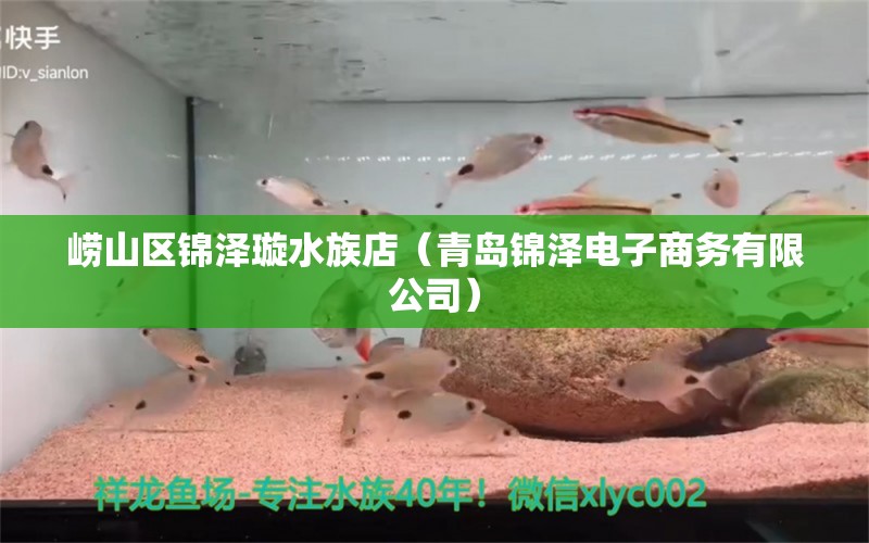 崂山区锦泽璇水族店（青岛锦泽电子商务有限公司） 全国水族馆企业名录