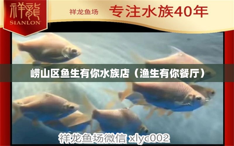 崂山区鱼生有你水族店（渔生有你餐厅） 全国水族馆企业名录