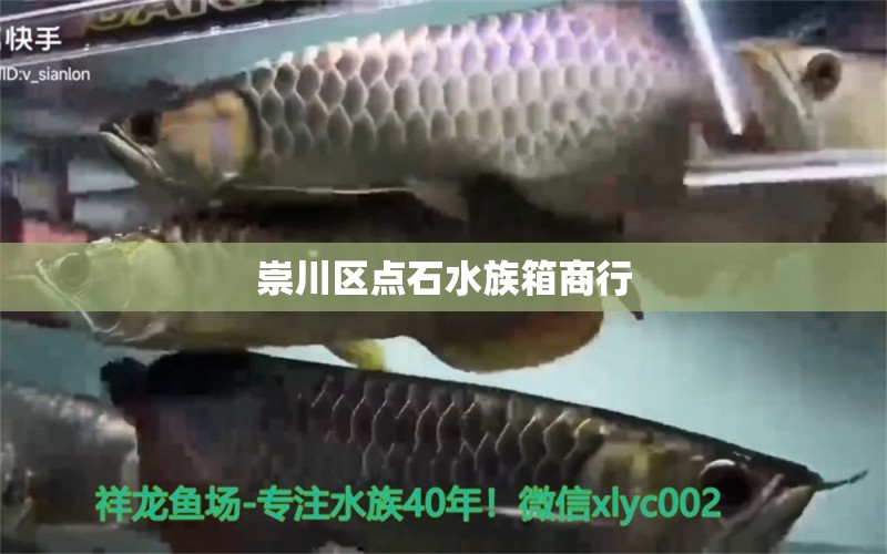 崇川区点石水族箱商行 鱼缸/水族箱