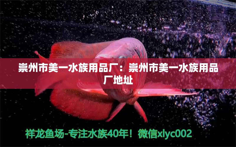 崇州市美一水族用品厂：崇州市美一水族用品厂地址