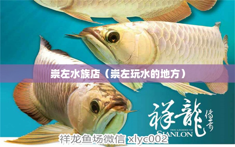 崇左水族店（崇左玩水的地方）