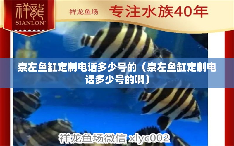 崇左鱼缸定制电话多少号的（崇左鱼缸定制电话多少号的啊） 祥龙水族医院