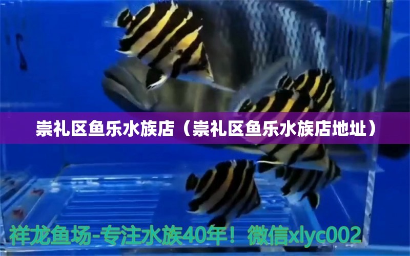 崇礼区鱼乐水族店（崇礼区鱼乐水族店地址）