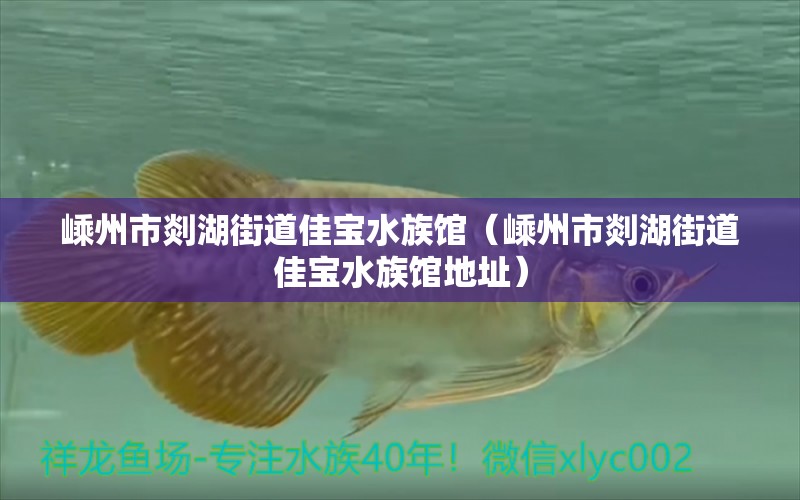 嵊州市剡湖街道佳宝水族馆（嵊州市剡湖街道佳宝水族馆地址） 全国水族馆企业名录