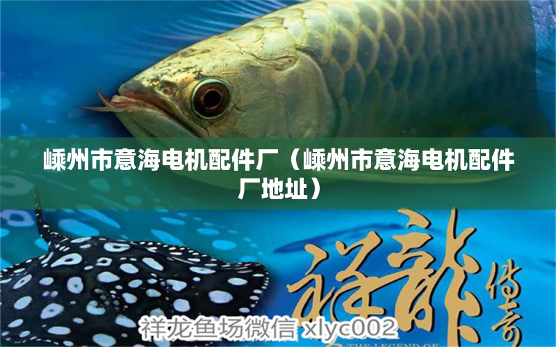 嵊州市意海电机配件厂（嵊州市意海电机配件厂地址） 全国水族馆企业名录