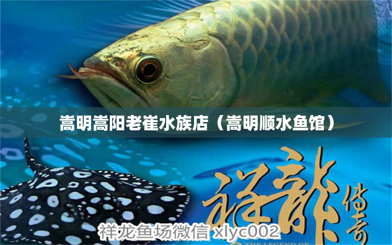 嵩明嵩阳老崔水族店（嵩明顺水鱼馆）