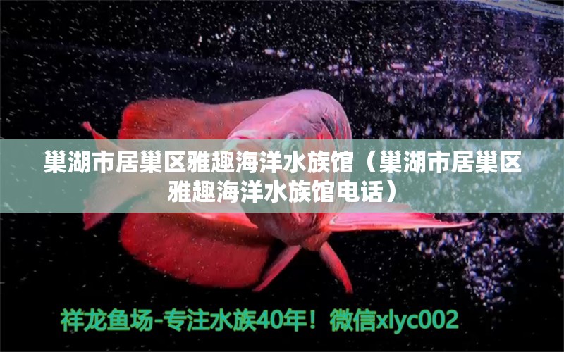 巢湖市居巢区雅趣海洋水族馆（巢湖市居巢区雅趣海洋水族馆电话）