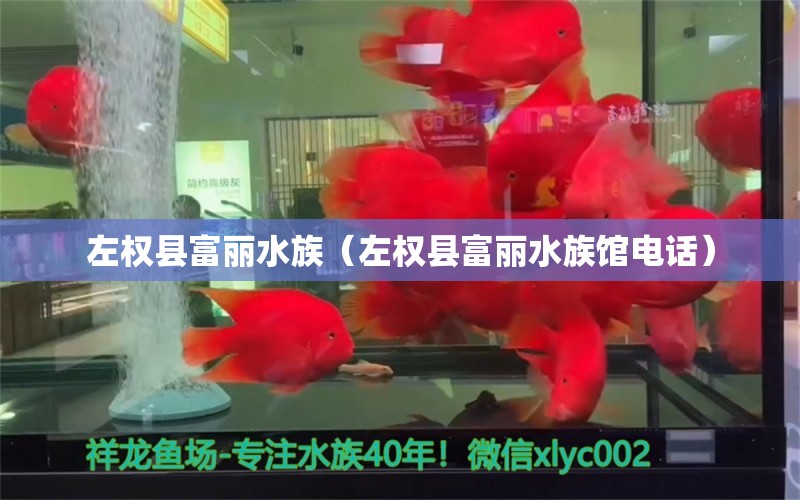 左权县富丽水族（左权县富丽水族馆电话） 全国水族馆企业名录