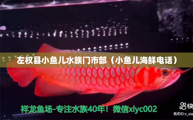 左权县小鱼儿水族门市部（小鱼儿海鲜电话）