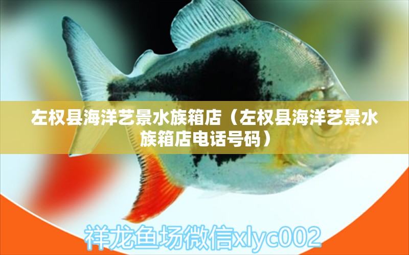 左权县海洋艺景水族箱店（左权县海洋艺景水族箱店电话号码）