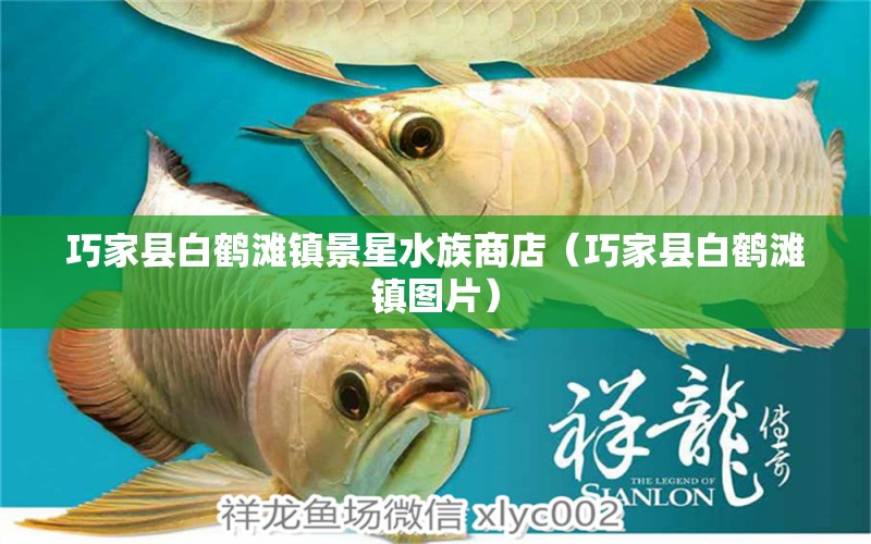 巧家县白鹤滩镇景星水族商店（巧家县白鹤滩镇图片）