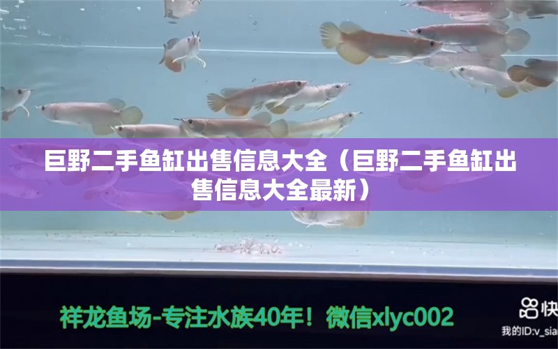 巨野二手鱼缸出售信息大全（巨野二手鱼缸出售信息大全最新） 观赏鱼市场（混养鱼）