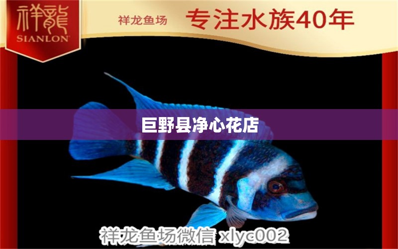 巨野县净心花店 全国水族馆企业名录