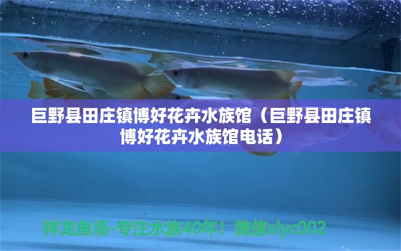 巨野县田庄镇博好花卉水族馆（巨野县田庄镇博好花卉水族馆电话）