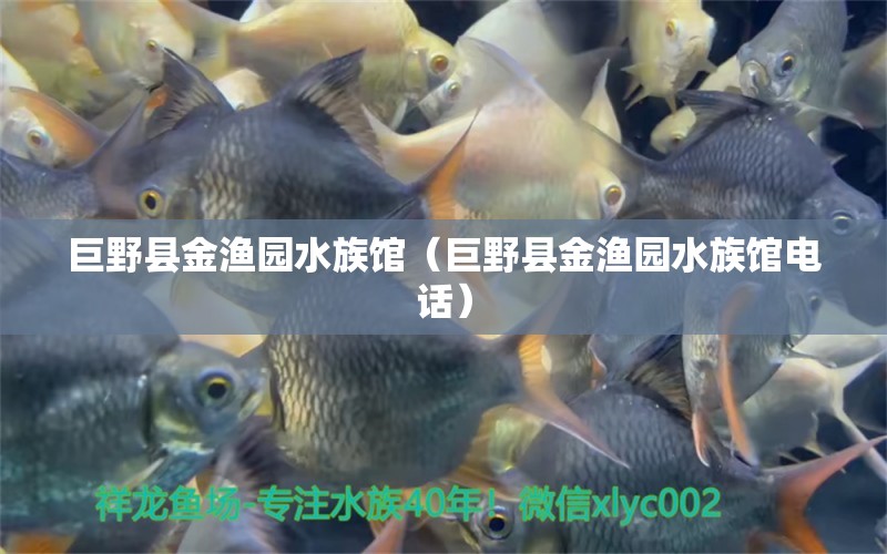 巨野县金渔园水族馆（巨野县金渔园水族馆电话）