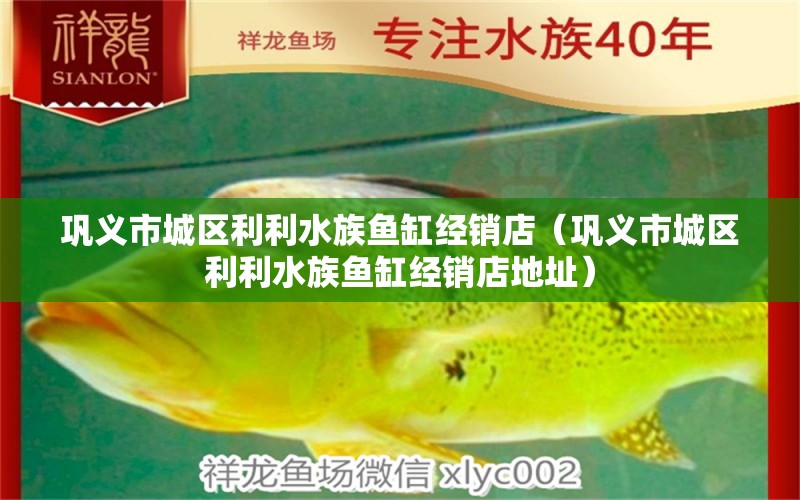 巩义市城区利利水族鱼缸经销店（巩义市城区利利水族鱼缸经销店地址）