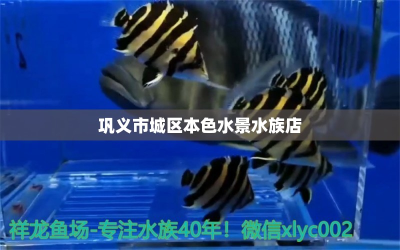 巩义市城区本色水景水族店 全国水族馆企业名录