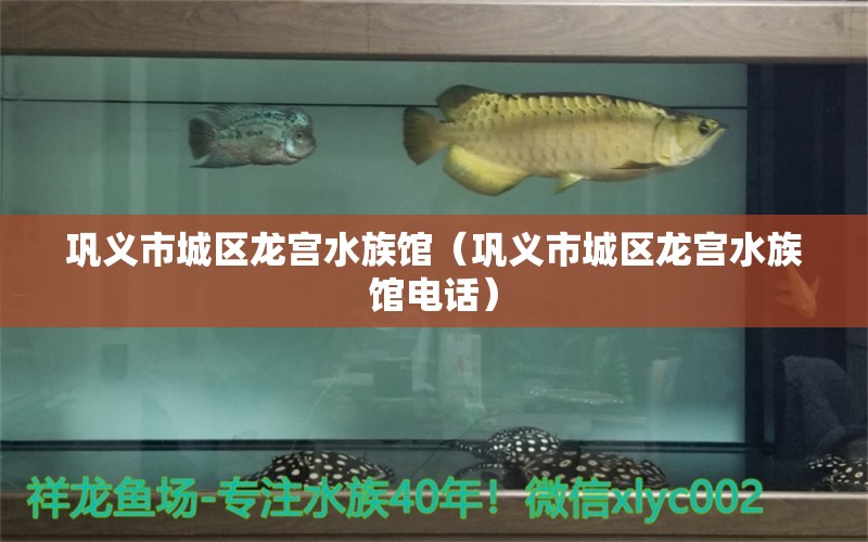 巩义市城区龙宫水族馆（巩义市城区龙宫水族馆电话） 全国水族馆企业名录