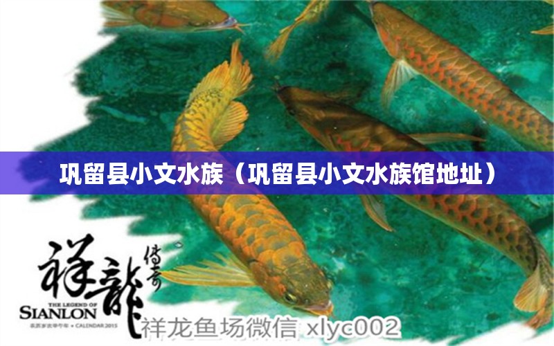 巩留县小文水族（巩留县小文水族馆地址）