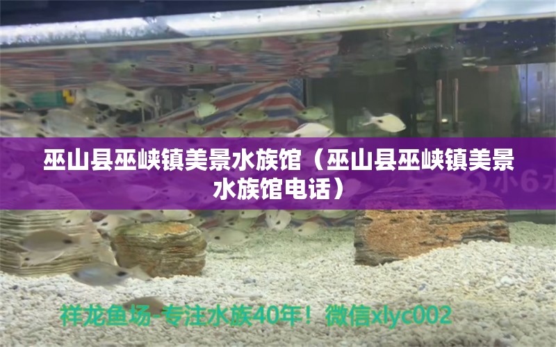 巫山县巫峡镇美景水族馆（巫山县巫峡镇美景水族馆电话） 全国水族馆企业名录