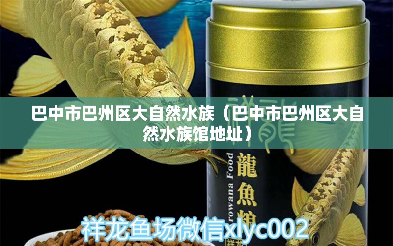 巴中市巴州区大自然水族（巴中市巴州区大自然水族馆地址）