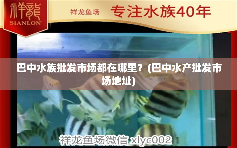 巴中水族批发市场都在哪里？(巴中水产批发市场地址)