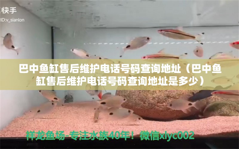 巴中鱼缸售后维护电话号码查询地址（巴中鱼缸售后维护电话号码查询地址是多少）