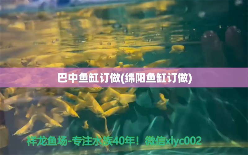 巴中鱼缸订做(绵阳鱼缸订做) 鱼缸清洁用具