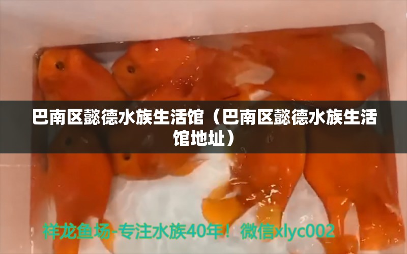 巴南区懿德水族生活馆（巴南区懿德水族生活馆地址） 全国水族馆企业名录