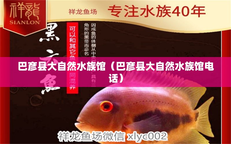 巴彦县大自然水族馆（巴彦县大自然水族馆电话）