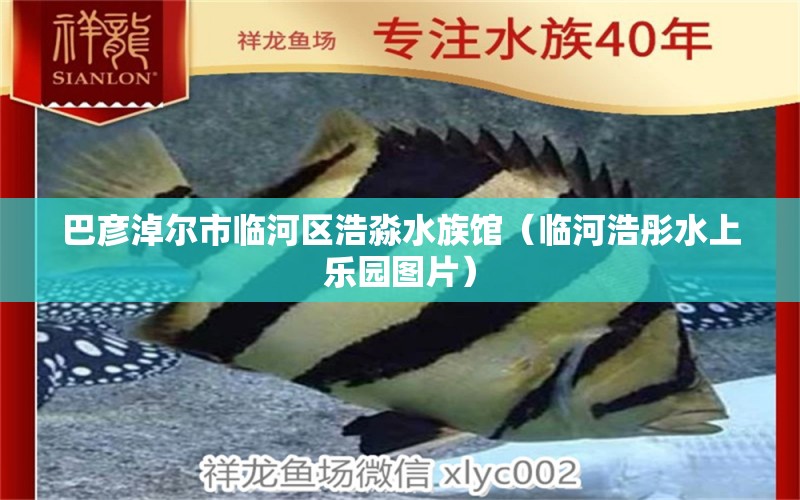 巴彦淖尔市临河区浩淼水族馆（临河浩彤水上乐园图片） 全国水族馆企业名录