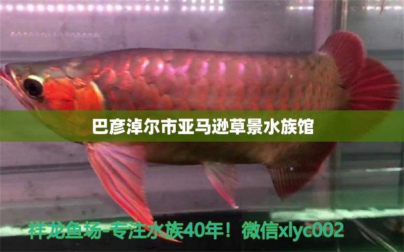 巴彦淖尔市亚马逊草景水族馆 全国水族馆企业名录