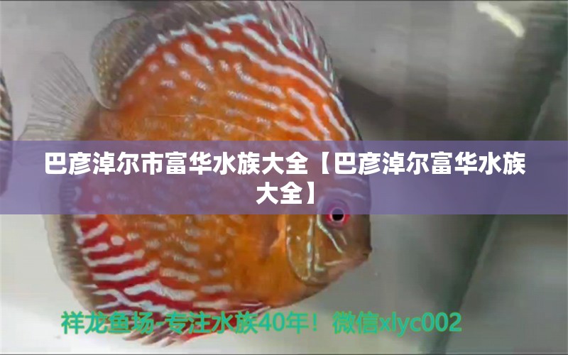 巴彦淖尔市富华水族大全【巴彦淖尔富华水族大全】 全国观赏鱼市场 第2张